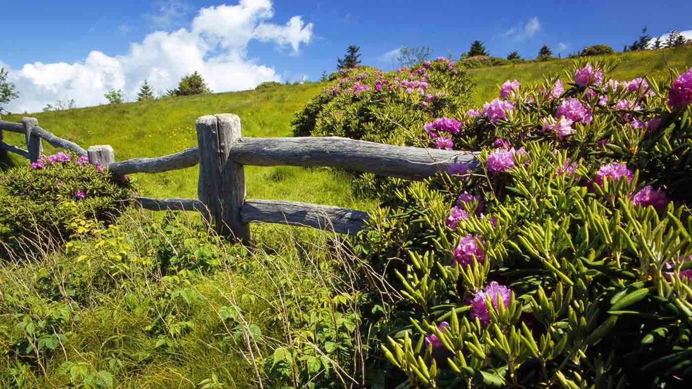 截止2013年的(de)農村(cūn)環保規劃項目